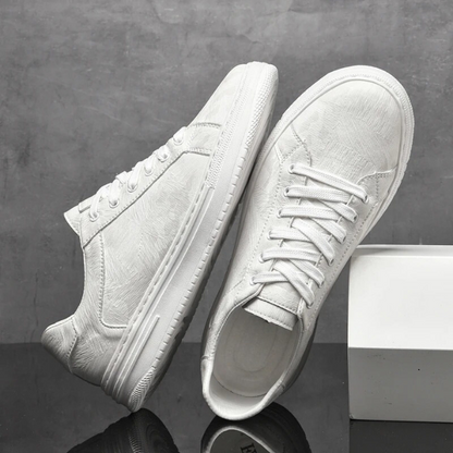 H&L Belmont Classic Trainer