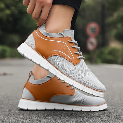 Meridian Walker