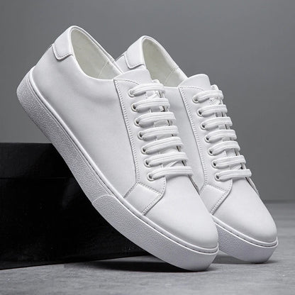 H&L Harrington Low-Tops